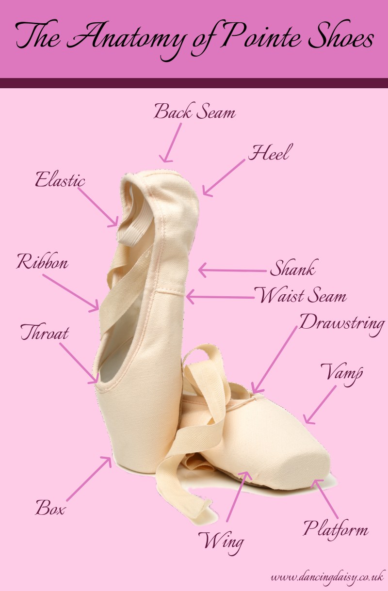 pointe shoes